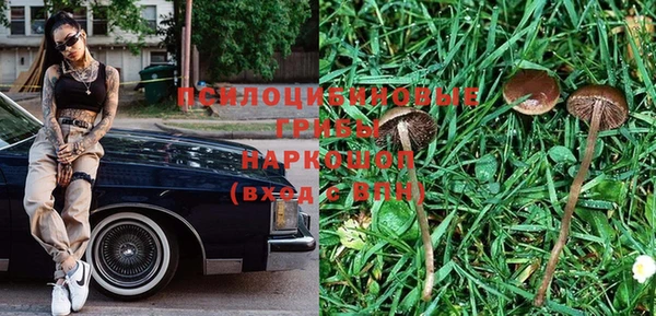 гашик Абдулино