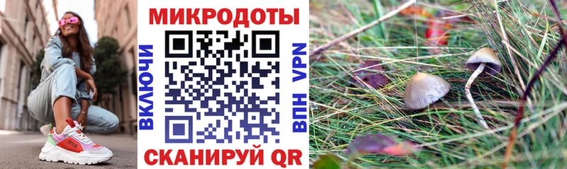 Галлюциногенные грибы мицелий  Ладушкин 